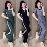 Đồ bộ nữ,set đồ quần ống rộng đai cao có túi áo ôm ngắn tay phối viền cổ vải thun cotton loại 1, bộ mặc nhà nữ