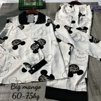 đồ bộ tay dài quần dài  bigsize