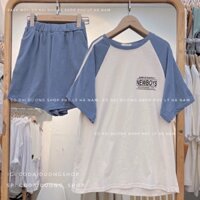 Đồ Bộ Thể Thao Phối NEWBOYS Chất Cotton Su