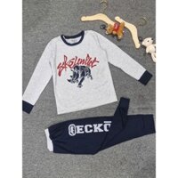 Đồ bộ thun bé trai tay dài xám tê giác ECKO 1815