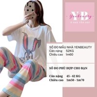 Đồ Bộ Thun Cotton Dài Mặc Ở Nhà Nữ - Bộ Quần Áo Ngủ Nữ Cộc Tay Mặc Nhà Thu Đông Bigsize, Nhiều Mẫu Dễ Thương New