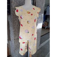 đồ bộ tole lanh xuất f21