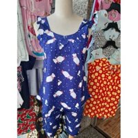 đồ bộ tole lanh