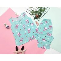 Đồ bộ tôn lanh