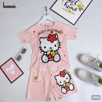 Đồ bộ trẻ em hình Hello Kitty thun lạnh co giãn 4 chiều in 3D TP023 Size đại (10-60kg)