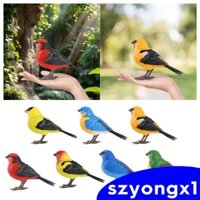 Đồ chơi chim điện tử Đồ chơi chim hát và chim hót bằng điện Đồ chơi tương tác