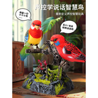 Đồ chơi chim vẹt biết nói, tượng chim, vịt thực tế, chó điện, cú, khủng long, đồ chơi búp bê lồng chim