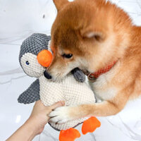 Đồ chơi cho chó bền bỉ, chim cánh cụt lớn, chống rách cho chó vừa và lớn, đồ chơi giảm tiếng đặc biệt - lala