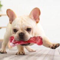 Đồ chơi cho chó Đồ chơi làm sạch răng cho chó Đồ chơi dính Đồ dùng cho thú cưng Hình dạng âm thanh tương tác chống lại Quà tặng cho chó L