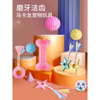 Đồ chơi cho chó, đồ chơi nhai bền cho mài răng và giải trí, bóng cao su cho chó con và chó nhỏ, đồ dùng cho thú cưng Teddy