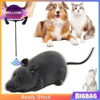Đồ chơi chuột điều khiển từ xa Pin Power Cat Chuột Đồ chơi tương tác cho thú cưng