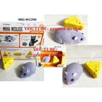 Đồ chơi con chuột bạch chuột cống điều khiển