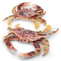 Đồ chơi cua lớn mô phỏng Efon-G, cua bơi, cua sư, cua hoàng đế, cua Trung Quốc, cua ngựa, đồ chơi sinh vật biển