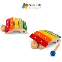 Đồ chơi đàn gỗ xylophone hình rùa cho bé, âm thanh nhẹ nhàng, không chói tai, Winwintoys