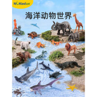 Đồ chơi động vật đại dương Aomengxing, sinh vật như cá voi, cá mập, cá heo, rùa, mô hình mô phỏng giáo dục sớm về thế giới dưới nước