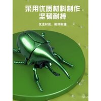 Đồ chơi động vật đồng hồ sáng tạo hình kỳ lân, mô hình côn trùng di chuyển, bọ chiến đấu lên dây cho trẻ em