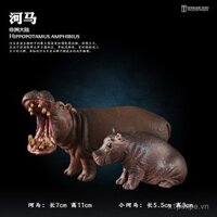 Đồ chơi động vật mô phỏng Tongde mô hình động vật hà mã Châu Phi hà mã con trẻ em giáo dục sớm nhận thức đồ trang trí quà tặng