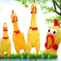 Đồ chơi gà hơi, gà bóp kêu, gà la hét, gà phát tiếng kêu Shrilling Chicken,đồ chơi cho thú cưng MEWSIC PETSHOP