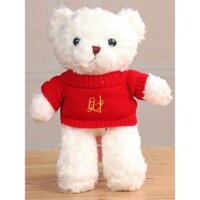 Đồ chơi gấu bông Teddy Bear, gấu ôm, túi gấu, búp bê gấu lớn, thú nhồi bông, quà sinh nhật cho bé gái