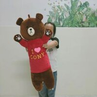 ĐỒ CHƠI GẤU BROWN 80CM GẤU BÔNG DỄ THƯƠNG