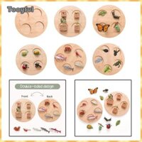 Đồ chơi giáo dục khoa học sinh học Tooyful Đồ chơi phát triển giáo dục cho bữa tiệc trò chơi