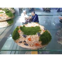 Đồ chơi Hồ rêu - Trang trí bể cá cảnh