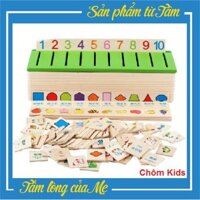 Đồ Chơi Hộp Thả Hình Theo Chủ Đề Bằng Gỗ - Hộp Thả Hình Thẻ Giáo Cụ Montessori