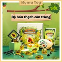 🔥Đồ chơi khảo cổ đào hóa thạch Hổ Phách Côn Trùng cực đẹp🔥- đồ chơi cao cấp mô hình giáo dục cho bé