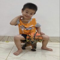 Đồ Chơi Khủng Long 3 Sừng Size To phát ra âm thanh, nhiều mẫu Quà tặng cho Bé