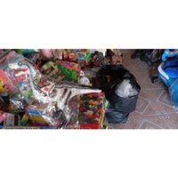 Đồ chơi khủng long nhựa loại lớn có tiếng