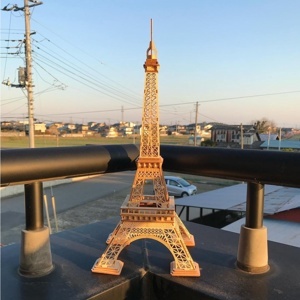Đồ chơi lắp ráp gỗ 3D Robotime TG501 - Mô hình Eiffel Tower