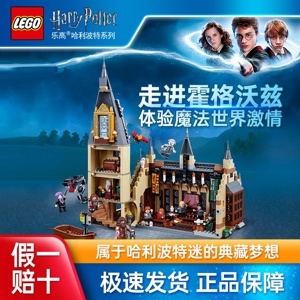 Đồ chơi lắp ráp Lego Harry Potter 75954 - Năm Nhất Của Harry Tại Học Viện Hogwarts