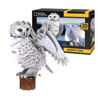 Đồ Chơi Lắp Ráp Mô Hình 3D Bằng Giấy CubicFun Con Cú Tuyết DS1079h (62 mảnh, Snowy Owl)