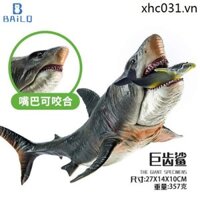 Đồ chơi Megalodon Mô phỏng trẻ em Mô hình cá mập đại dương Mô hình động vật Megalodon di chuyển lớn