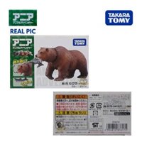 Đồ chơi mô hình động vật Gấu nâu AS-25 Brown Bear