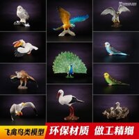 Đồ chơi mô hình động vật thực tế Tongde, chim, chim săn mồi, đại bàng, vẹt, cú, công, chim ưng, mèo, chim gõ kiến, chim hồng hạc