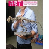 Đồ chơi mô hình xương khủng long hóa thạch Tyrannosaurus Rex lắp ráp lớn, phát hiện khảo cổ, lắp ráp đá nguyên bản cho bé trai