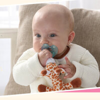 Đồ chơi núm vú giả cho bé Treo động vật Đồ chơi sang trọng Màu sắc khác nhau Núm vú giả silicon / 009