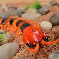 đồ chơi rắn điều khiển từ xa - rết điều khiển -côn trùng điều khiển