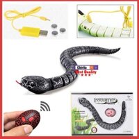 ❣✁Đồ Chơi Rắn Điều Khiển Từ Xa -Đồ Mô Hình- Phỏng Động Vật Đáng sợ - Snake