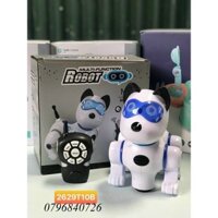 Đồ chơi robot chó