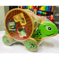 Đồ chơi rùa con có dây kéo