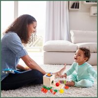 Đồ chơi thả bóng bằng gỗ Đồ chơi 4 trong 1 Hộp vĩnh viễn Màu sắc & Hình dạng Máy phân loại giáo dục Học tập động cơ Kỹ năng Đồ chơi explanvn