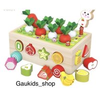 Đồ Chơi Thả Khối Gỗ - Xếp Hình,  Giúp Bé Nhận Biết Hình Dạng, Các Loại  Quả, Màu Sắc, Bắt Sâu
