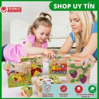Đồ Chơi Thông Minh 9 Khối Gỗ Lắp Ghép 6 Mặt 3D Cho Bé Phát Triển Trí Não (Chọn Ngẫu Nhiên)