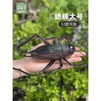 Đồ chơi trẻ em cỡ lớn mô phỏng đồ trang trí mô hình côn trùng động vật dế bọ rùa nhện Bọ Cạp Bọ Cạp bé trai nhựa