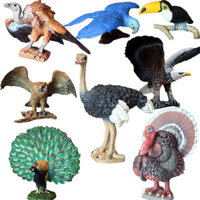 Đồ chơi trẻ em mô phỏng mô hình động vật Bộ Chim mỏ to Vẹt đà điểu chim công chim gà tây bé trai nữ
