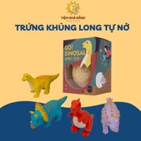 Đồ chơi  Trứng Khủng Long tự nở nguyên liệu tự nhiên phù hợp cho bé 3 tuổi - Tiệm Nhà Nắng