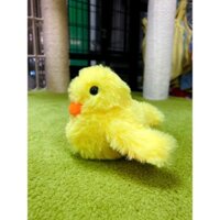 Đồ chơi vịt vàng dành cho thú cưng