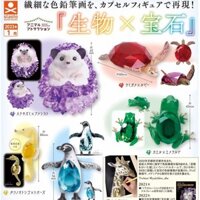 Đồ chơi Vivi mới, đồ chơi viên nang STASTO, động vật dễ thương, yêu tinh, sinh vật X, chim cánh cụt đá quý, tượng nhím 250309   FRTK.